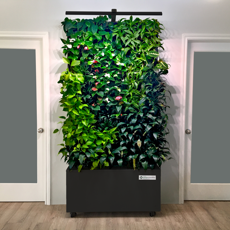 freestanding succulent wall Mobile Living Wall – GINKGOWALLS