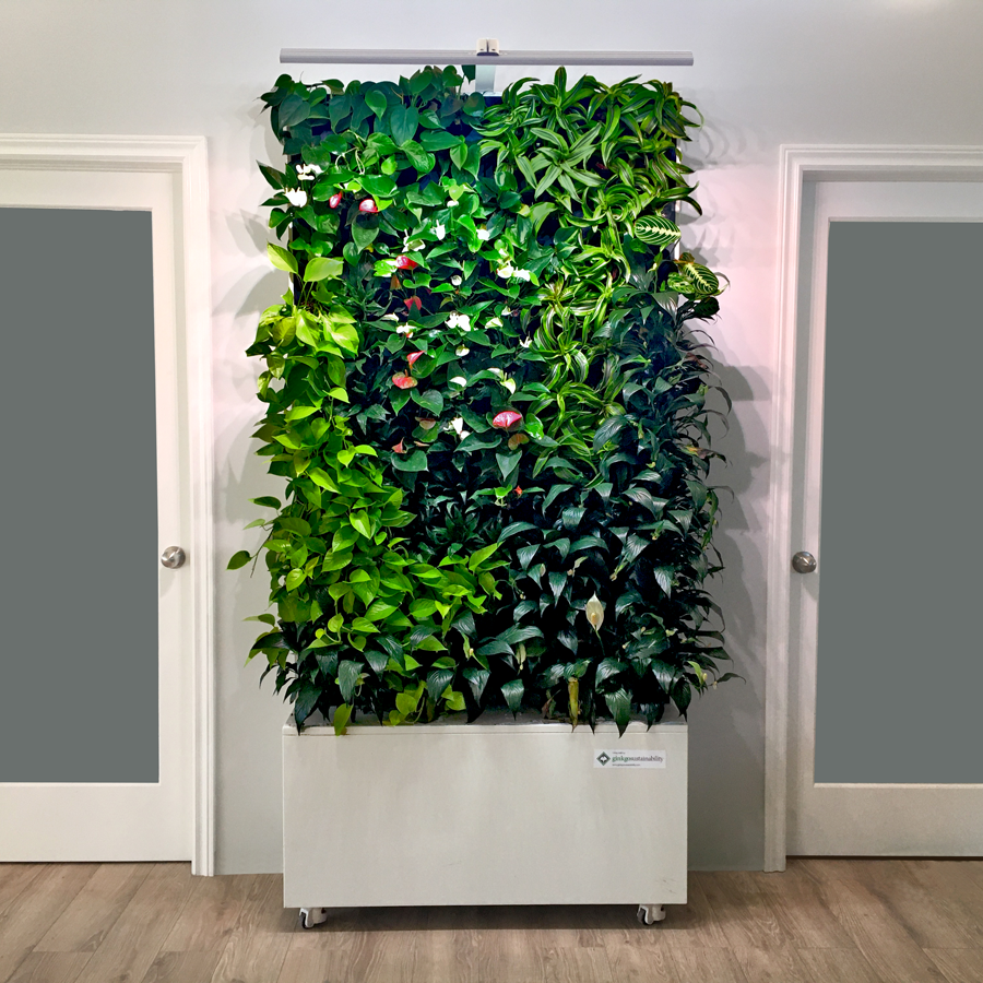 live plant wall indoor Mobile Living Wall – GINKGOWALLS
